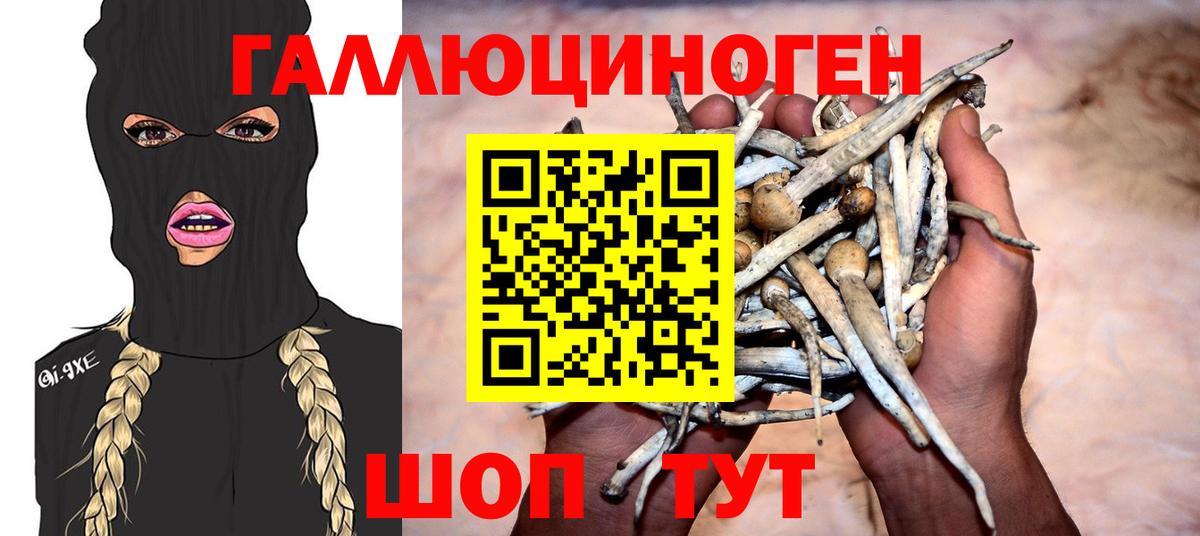 Изобильный  Псилоцибиновые грибы мухоморы  Псилоцибиновые грибы ЛСД  Вход с VPN 